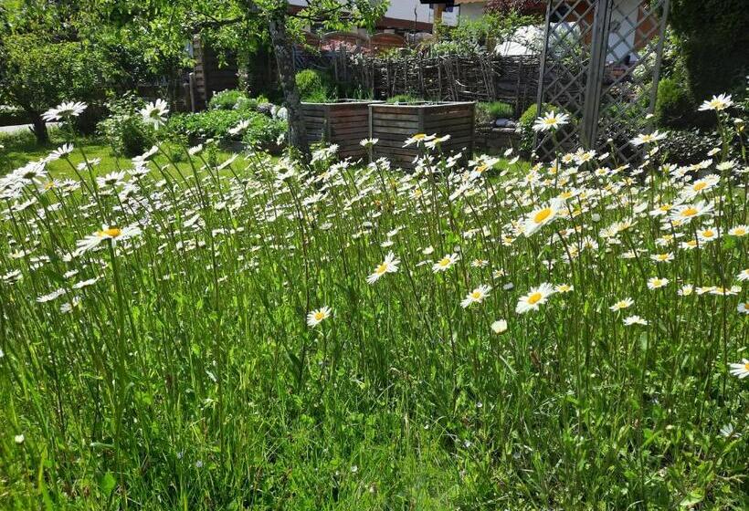 پانسیون Gästehaus Annemarie