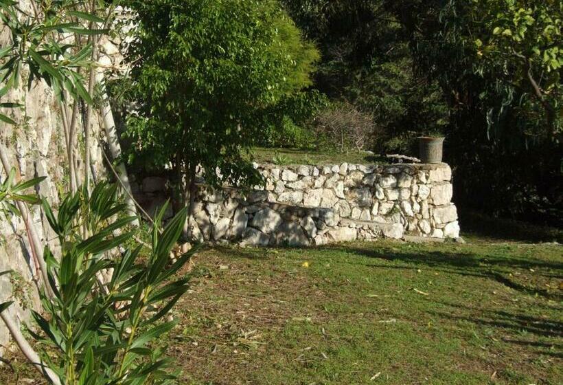 پانسیون La Masa