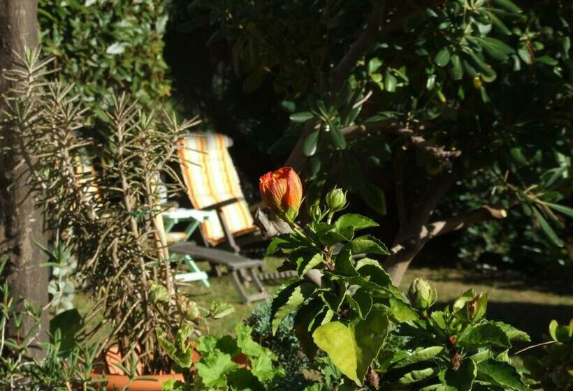 پانسیون La Masa