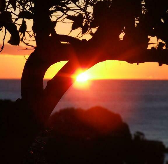 پانسیون La Masa