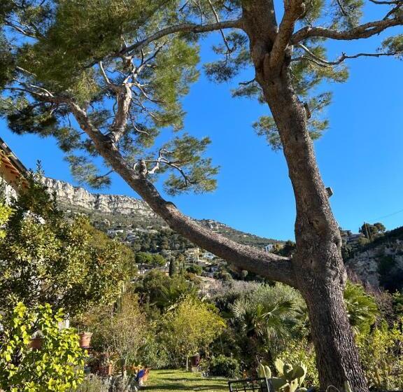 پانسیون La Masa