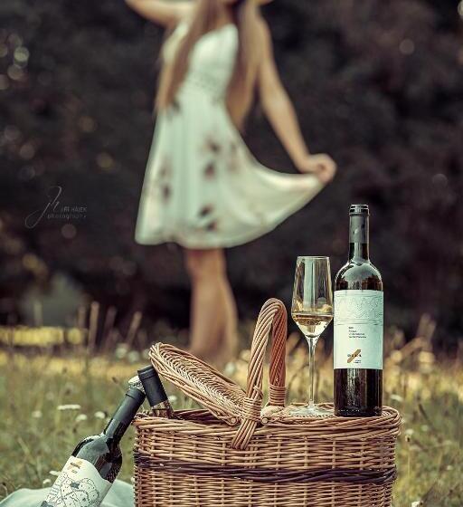 פנסיון Rodinné Vinařství Skoupil