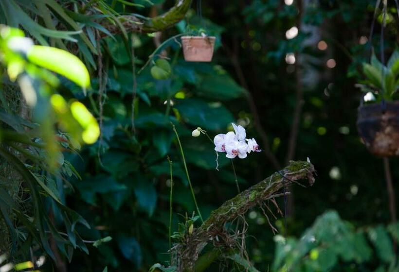 פנסיון Pousada Pau Brasil Ubu