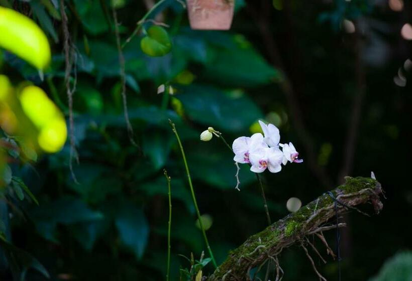 פנסיון Pousada Pau Brasil Ubu