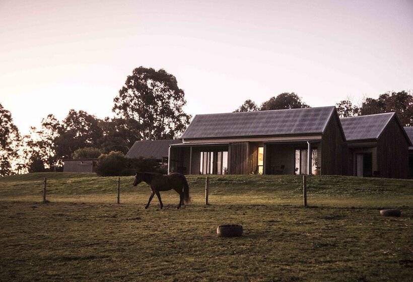 פנסיון Spring Spur Stay