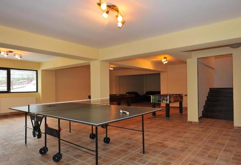 Pensiunea Ursul Carcotas