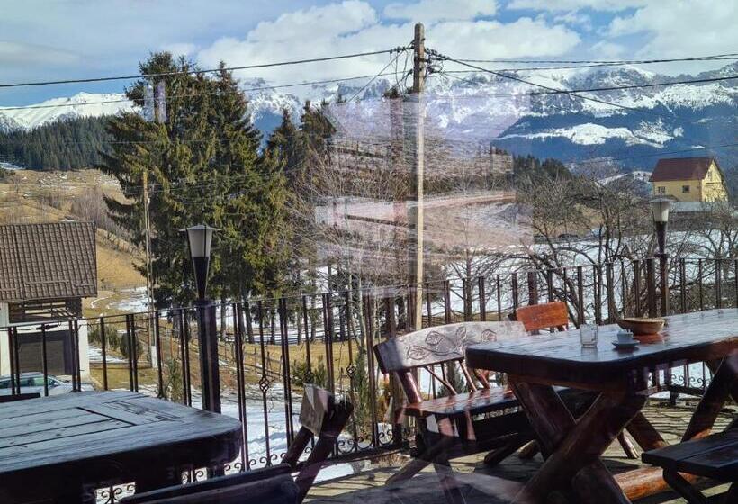 Pensiunea Ursul Carcotas