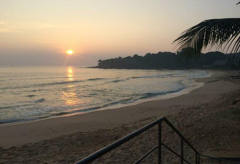 리조트 Dutch Bay Beach Cottages