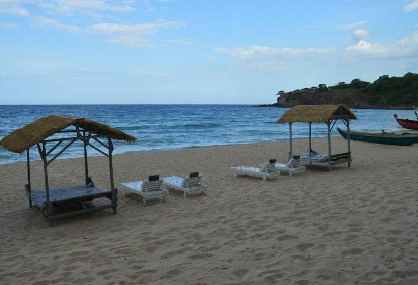 리조트 Dutch Bay Beach Cottages