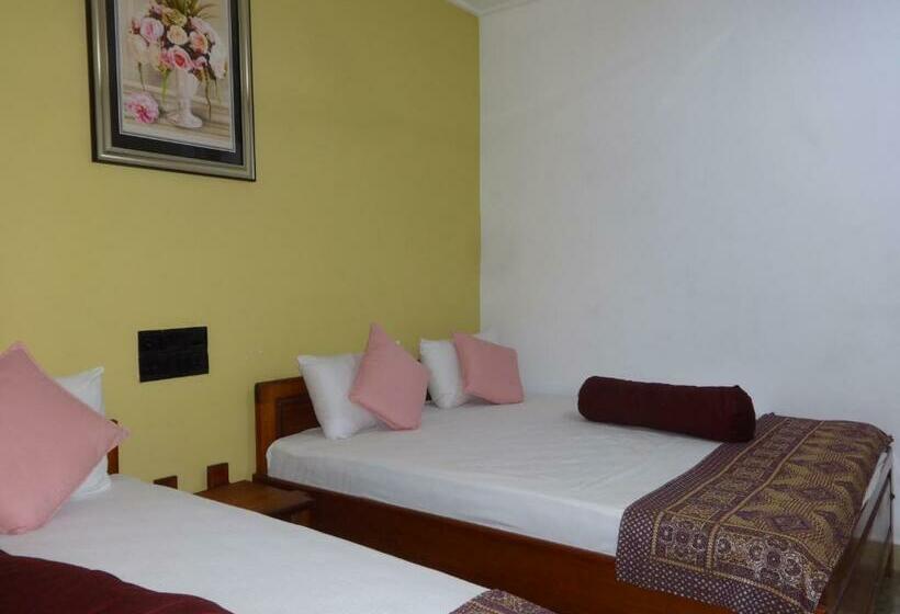 리조트 Dutch Bay Beach Cottages