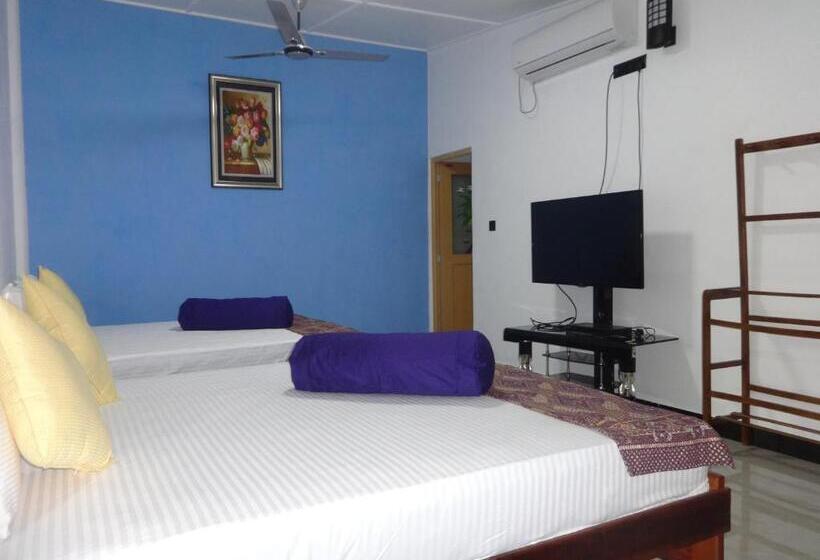 리조트 Dutch Bay Beach Cottages