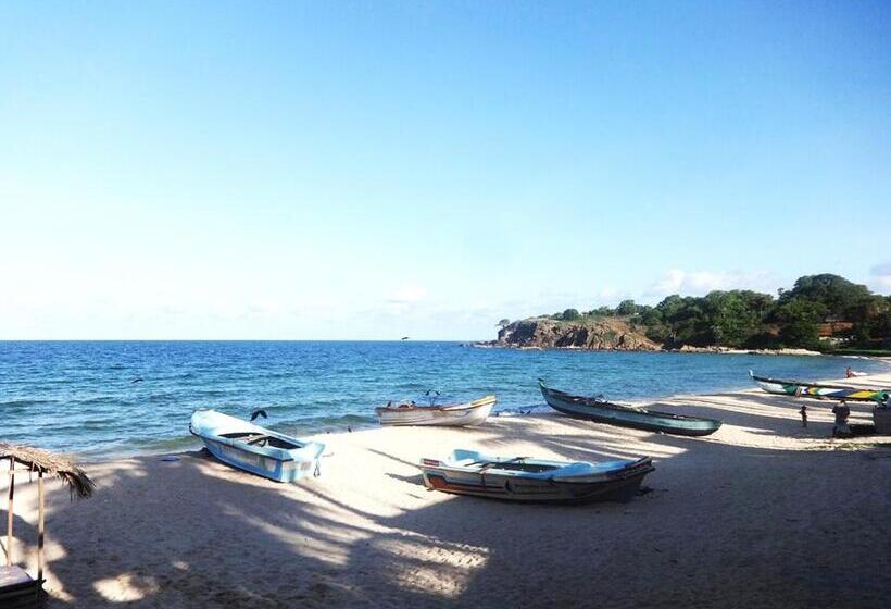 리조트 Dutch Bay Beach Cottages