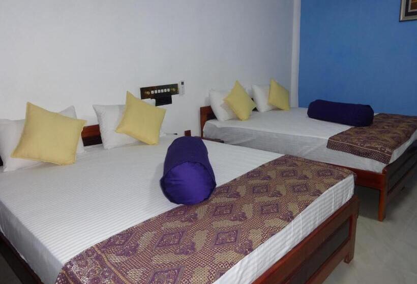 리조트 Dutch Bay Beach Cottages