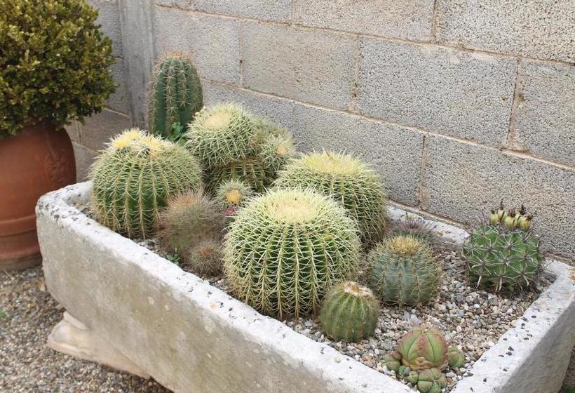 Villa Li Putti Luxury B&b