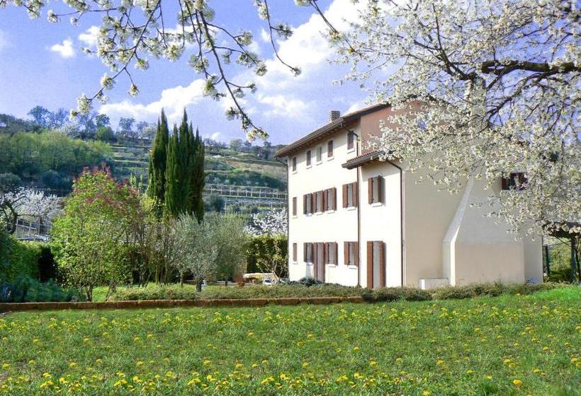 B&b Il Pettirosso