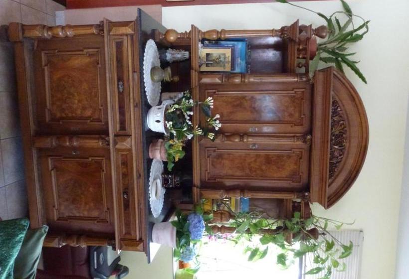 مبيت وإفطار Edelweiss Panzió