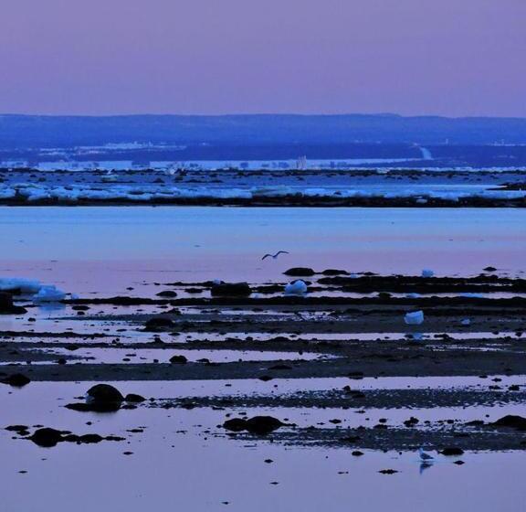 Bed and Breakfast Gite La Maison Rochefort