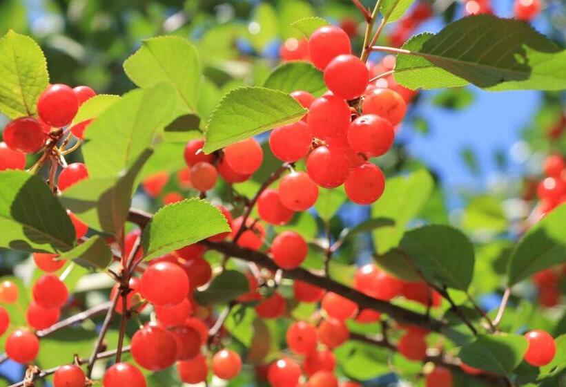 مبيت وإفطار Les Chambres De L Ile