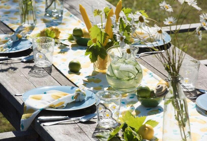 צימר Rame Barton Guest House And Pottery