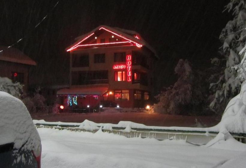 Family Hotel Savov