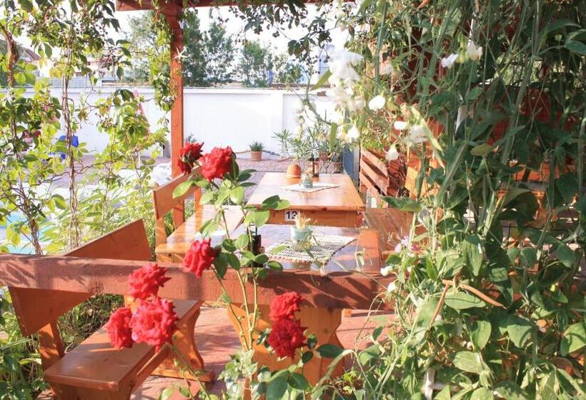 ホテル Alba Family Club