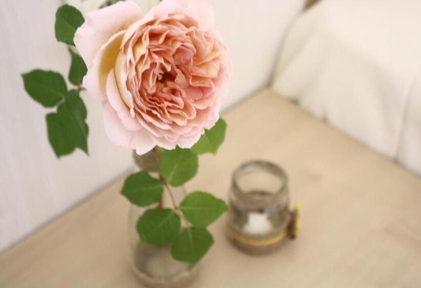 ホテル Alba Family Club