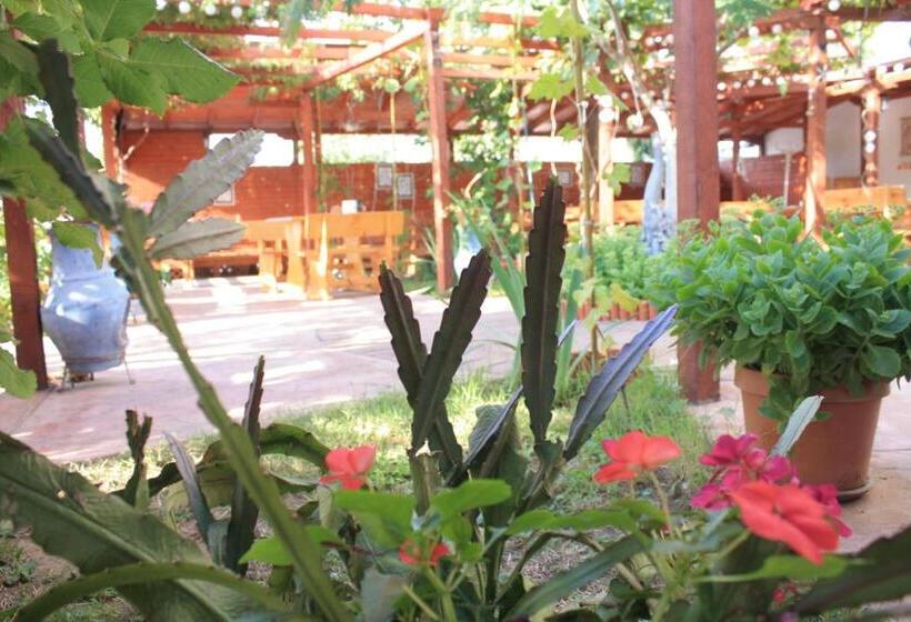 ホテル Alba Family Club