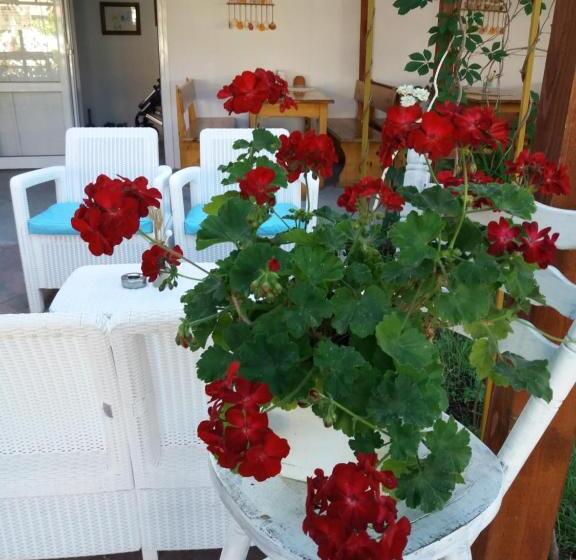 ホテル Alba Family Club