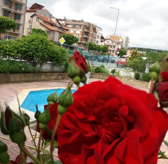 ホテル Alba Family Club