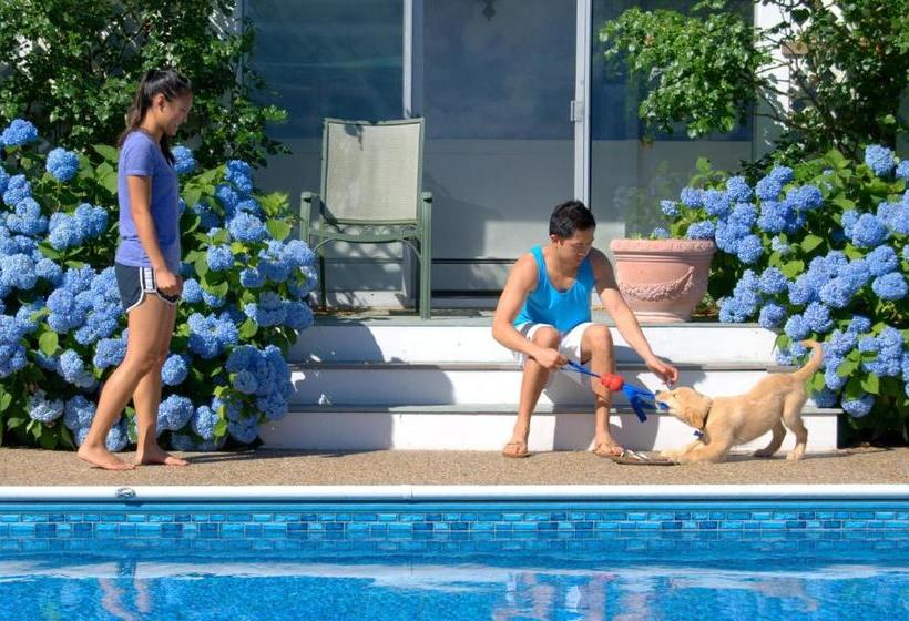 ホテル Lamb And Lion Inn