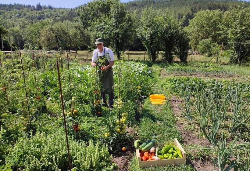 Отель Le Relais De Ceilhes