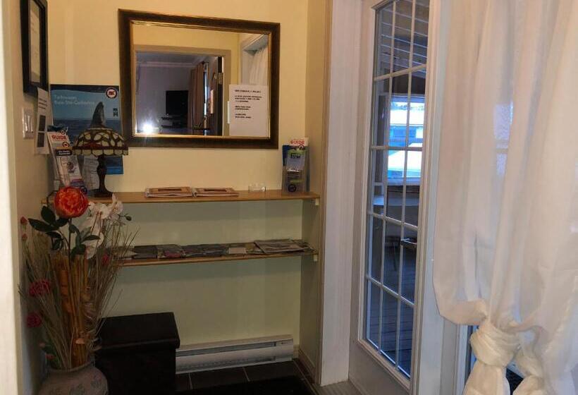 酒店 Petit Hôtel Amara