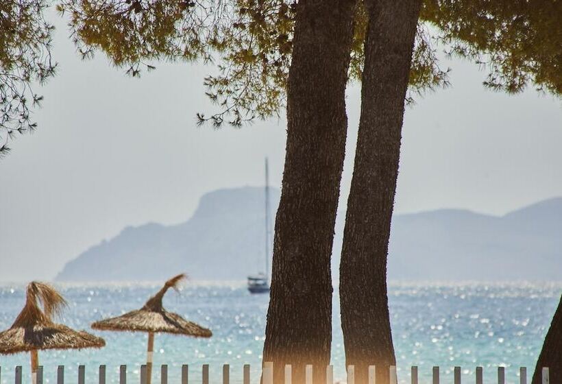 هتل Sofia Alcudia Beach