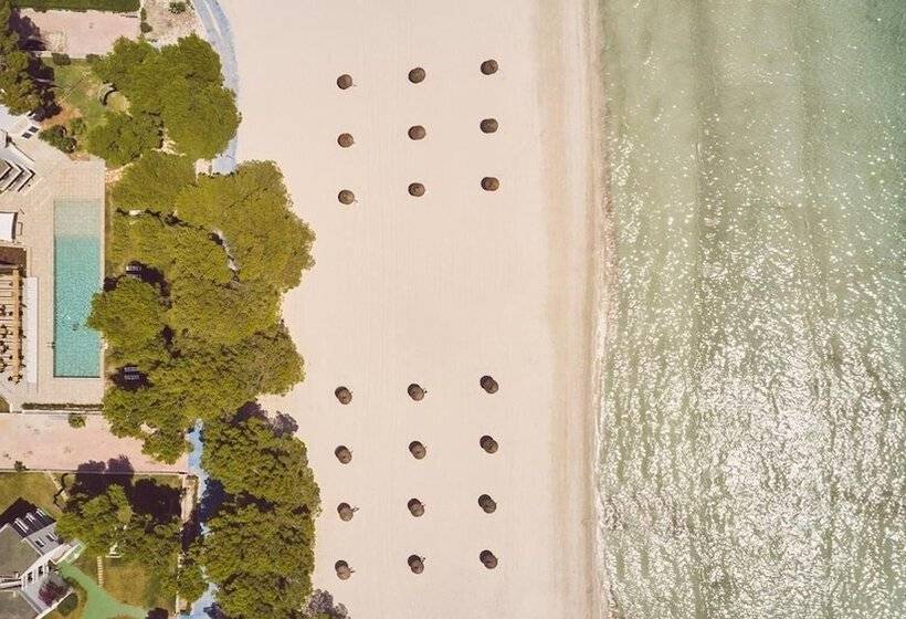 هتل Sofia Alcudia Beach