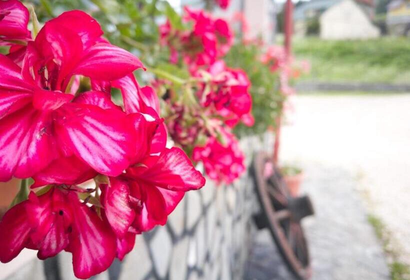 펜션 Casa Ardeleana