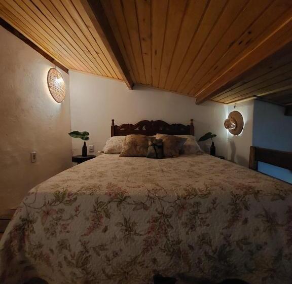 פנסיון Guest House Boki Da Zezé