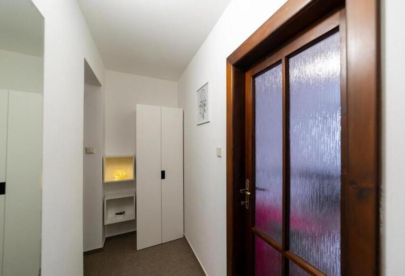 펜션 Penzion Bludička