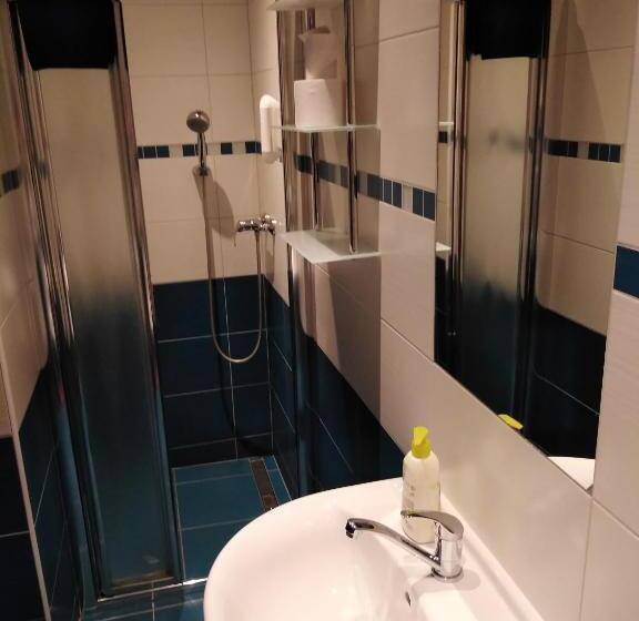 פנסיון Penzion Iris Krkonoše