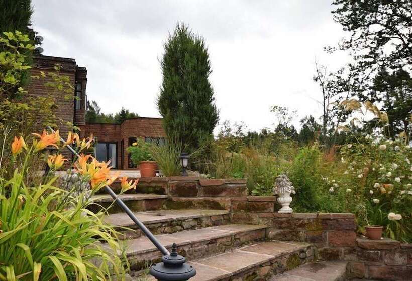 مبيت وإفطار Heather Glen Country House