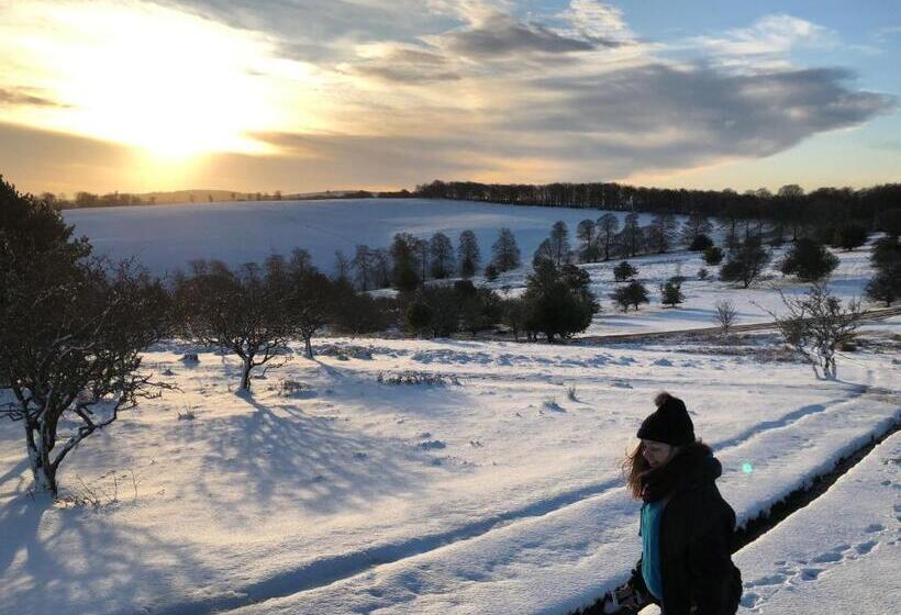 住宿加早餐  The Carew Arms