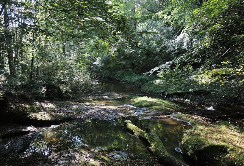 בית מלון כפרי Shireburn Arms