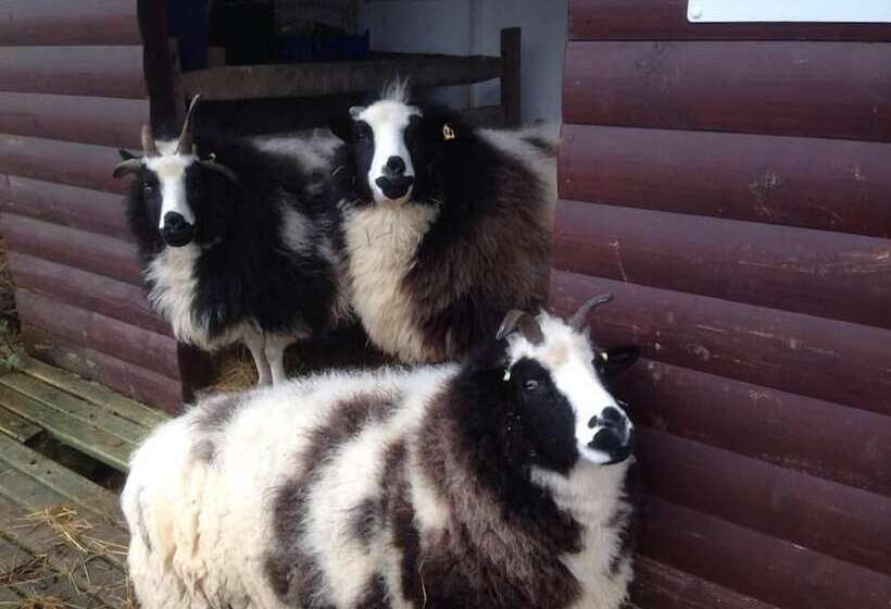 ホテル Wall Eden Farm