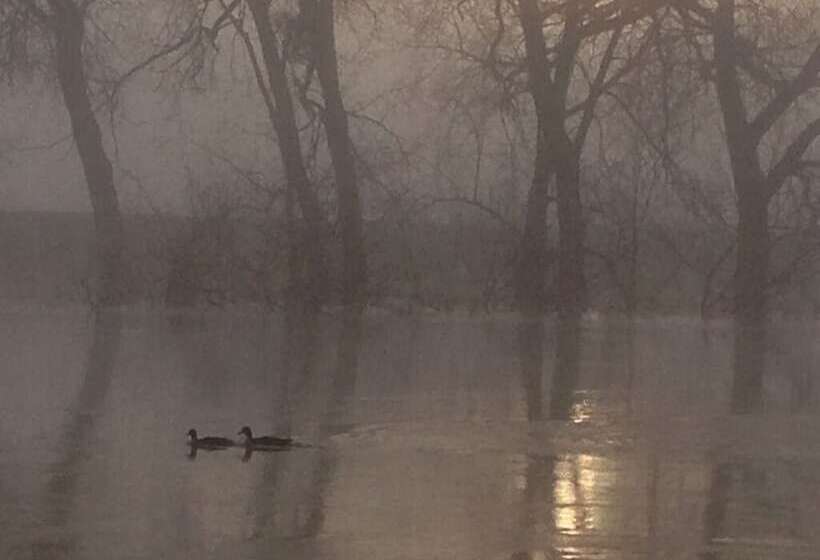 Severnside Bed & Breakfast