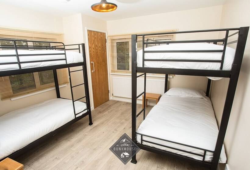 Общежитие Celtic House