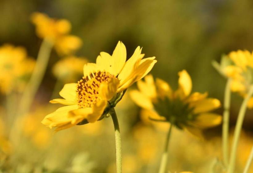 הוסטל Estancia San Miguel