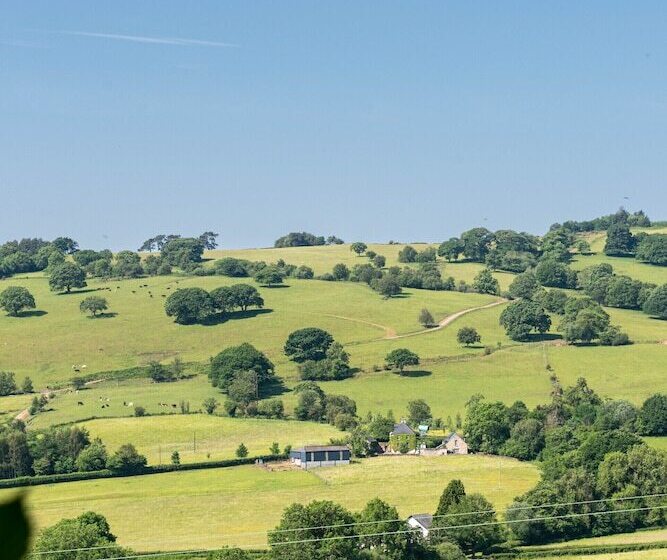 Alltybrain Farm Cottages And B&b