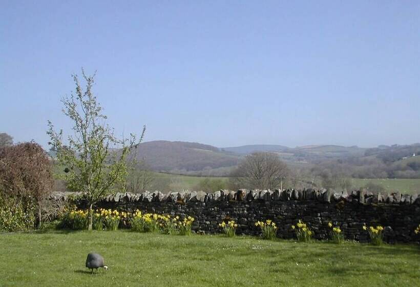 Alltybrain Farm Cottages And B&b