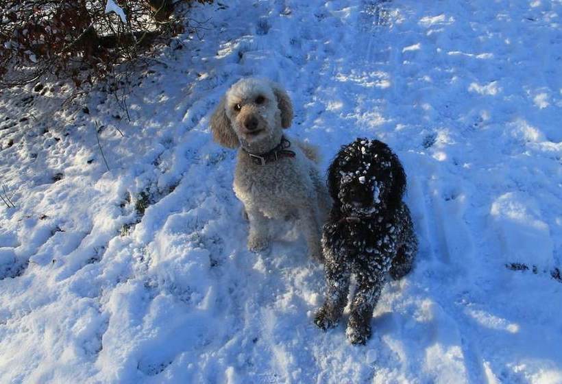 צימר Burnroy House