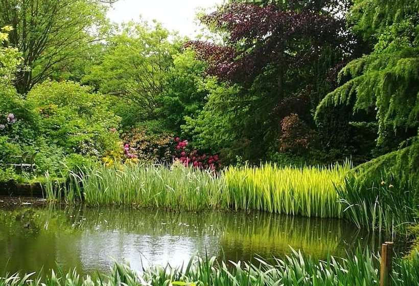 Bed and Breakfast Hayeswood Lodge Luxury Accommodation