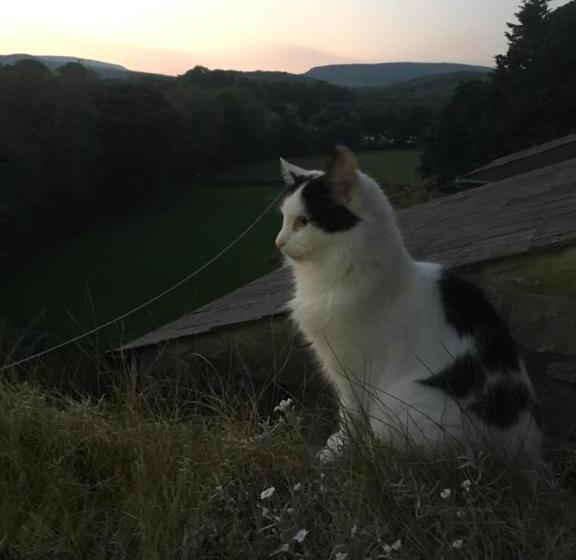 민박 Inglenook Guest House